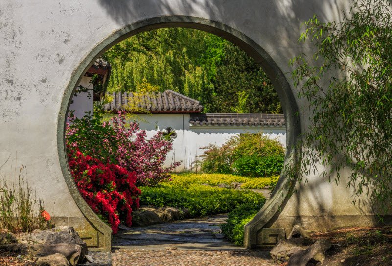Haren Hortus Botanicus, Netherlands